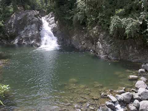 el año viejo se nos va