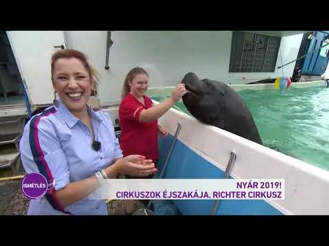 Nyár 2019! - Cirkuszolt a Nyár 2019!