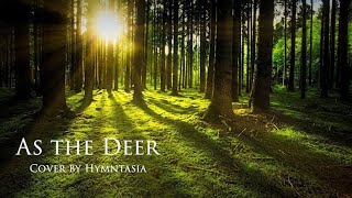 Instrumental- As the Deer Prompt@10 gameplay video by BCI4Kids, 3:18 duration