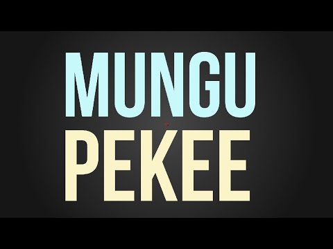 Nyashinski - Mungu Pekee (Official Lyric Video) [Skiza: Dial *811*64#]