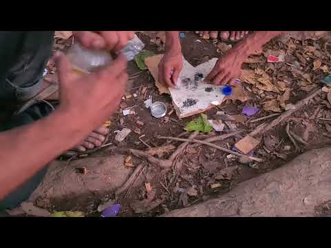 Você é a favor ou contra a liberação de drogas