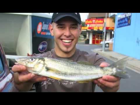 download lagu mp3 mp4 Adam Harvey Hooked, download mp3 Adam Harvey Hooked free download mp3, download mp3 Adam Harvey Hooked