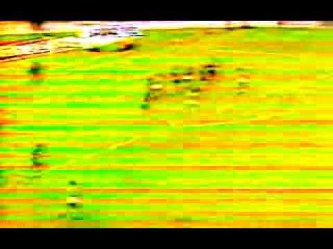 Vasco da gama 0 X 2 Londrina E.C-Tubarão em São Januario 1978.avi