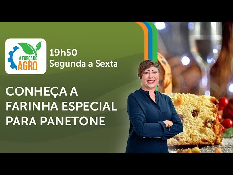 A Força do Agro, com Joice Maffezzolli - Conheça a farinha especial para panetone