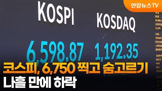 코스피, 6,750 찍고 숨고르기…나흘 만에 하락 / 연합뉴스TV (YonhapnewsTV)