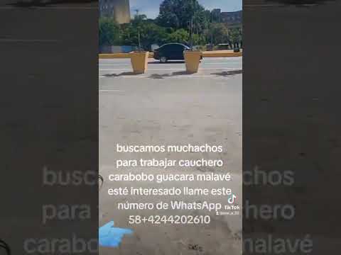 buscamos muchachos para trabajar cauchero carabobo guacara malavé no sabe trabaja