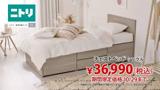 【期間限定価格 10/29まで】チェストベッド