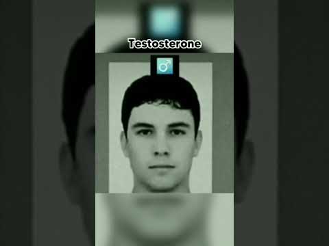 How Hormones Effect Human Body #Shorts