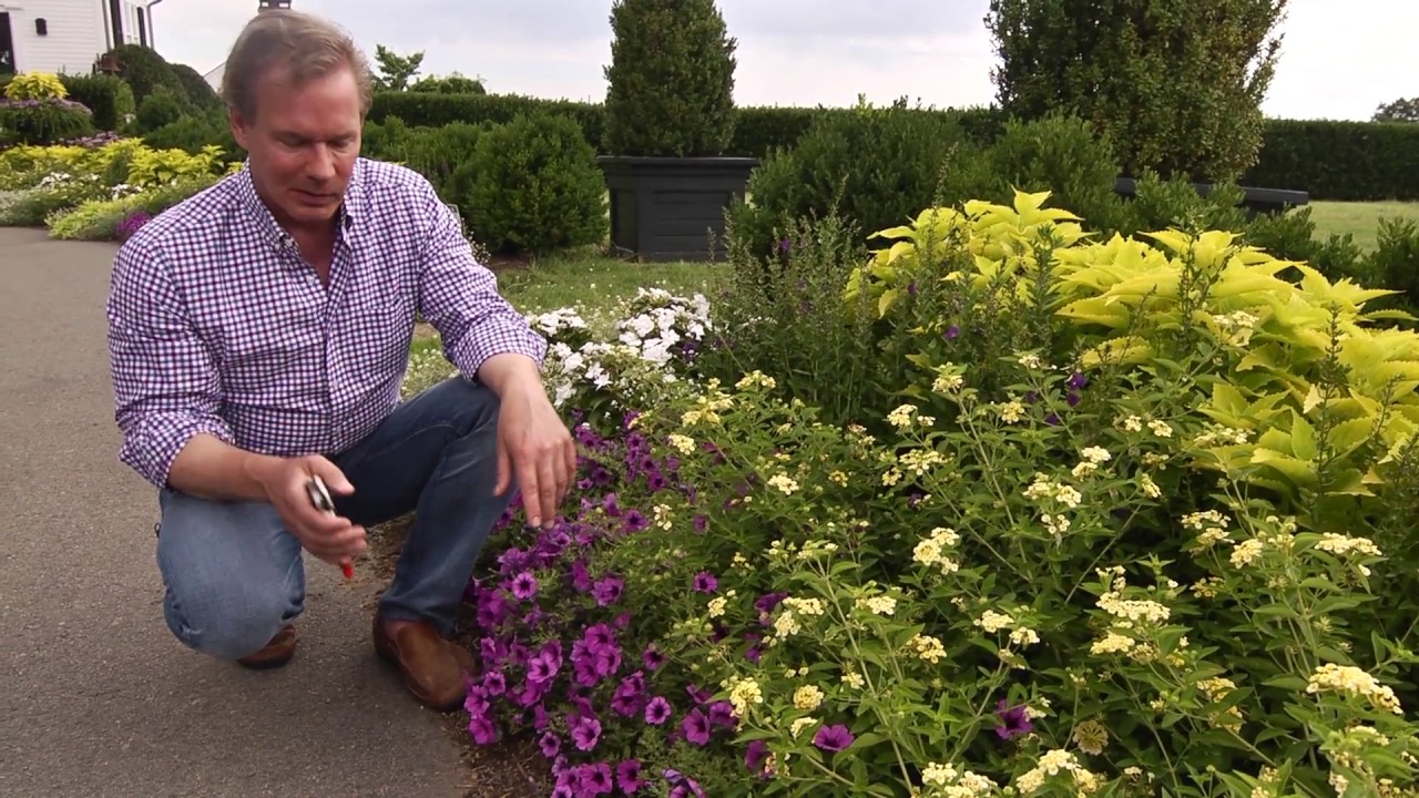 Using Color & Texture in Landscape Design | Proven Winners® with P. Allen Smith