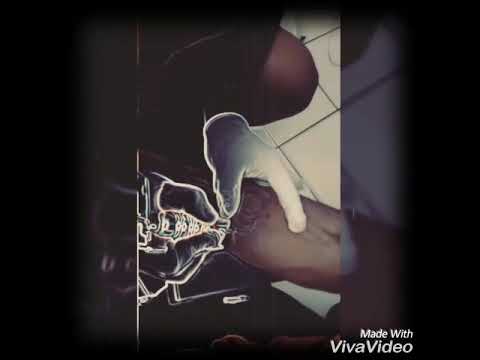 Wîll-x, Fredo,  gëlly &bobby-M.D.B 04