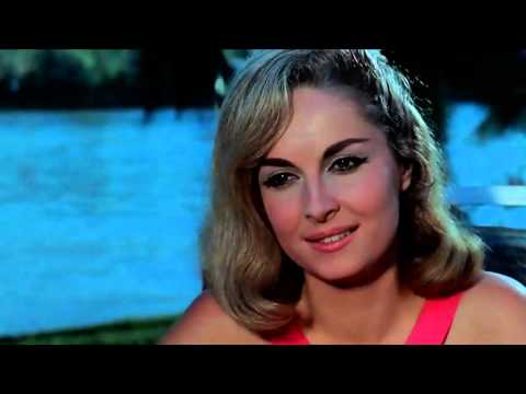 Sandro - Trigal (HD)