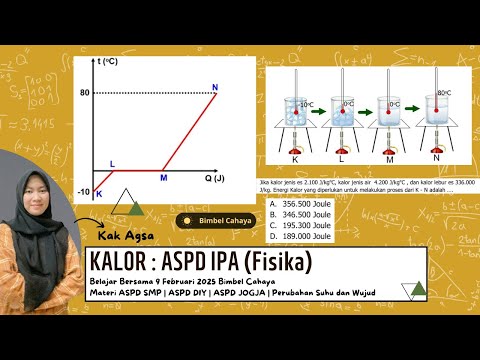 Sistem Pernapasan Manusia: Volume Paru-paru & Mekanisme Dada vs Perut SMP