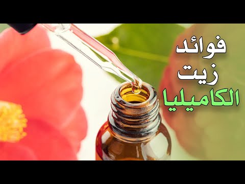 ما هي فوائد زيت الكاميليا ؟