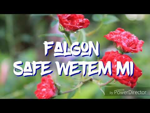 Falgon - Safe Wetem Mi  (2019) Prod By Coastal Studio
