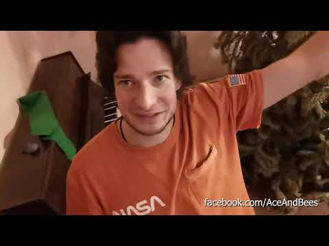 Adam Vrbas s kapelou "Ace and Bees" tvoří hudební videa