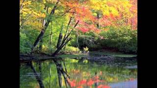 Riccardo Cocciante - Nonostante tutto