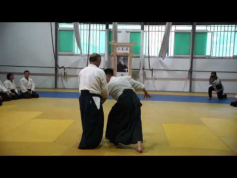 2023 HAF Aikido Seminar - Shihan Etsuji Horii - Ai hanmi katate dori shiho nage 2
