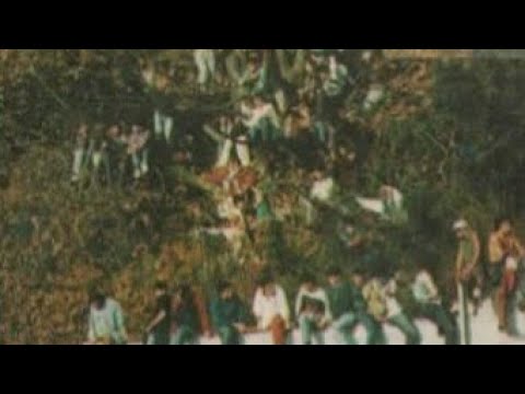 "Los del cerro Huachipato 1990 Los Acereros,  Zoom deportivo Estadio Higueras" Barra: Los Acereros &bull; Club: Huachipato