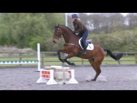 Emilie Chandler Masterclass in Minutes no 3 - Skinnies Part 3