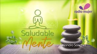 Usos de la miel melipona-Saludable Mente