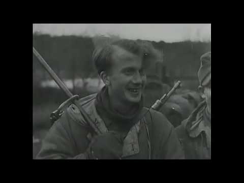 Przyczółek Szczecin - Brückenkopf Stettin - Bridgehead Stettin - Штеттинский плацдарм