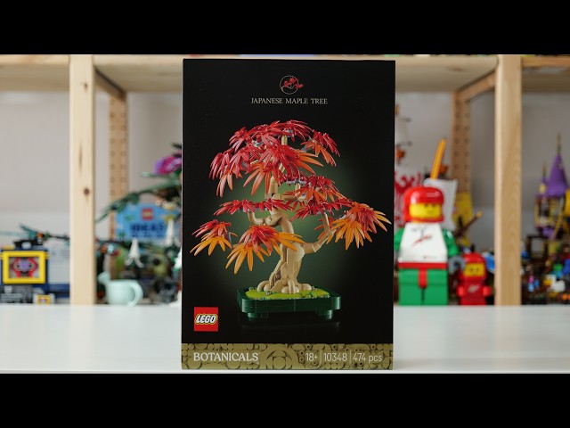 Vídeo relacionado con LEGO Botanical Bonsái de Arce Rojo Japonés - Planta Artificial con Hojas Rojas y Naranjas en Maceta - Maqueta para Construir para Adultos - Regalo de Decoración del Hogar para Mujeres y Hombres 10348