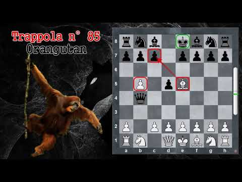 Trappole in Apertura 85 - Scacchi - Orangutan - Apertura Polacca/Sokolsky