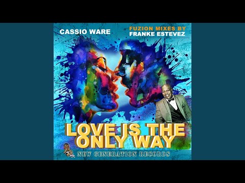 Love Is The Only Way (Franke Estevez Fuzion Instr. Mix)