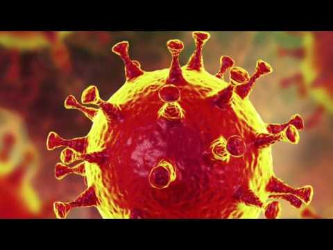 Ich möchte so gerne Mit Dir In Quarantäne sein Corona-Song 2