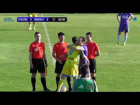 Tercera RFEF Grupo 8 : CD BECERRIL - ARANDINA CF · Castilla y León