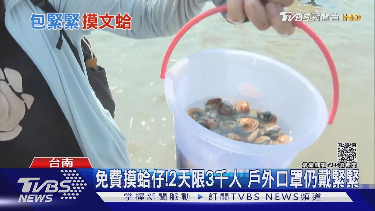 免費摸蛤仔！2天限3千人報名秒殺　戶外口罩仍戴緊緊