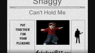 Shaggy - Cant Hold Me