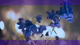 Download lagu [몬스타엑스] MONSTA X X CLAN 시리즈 뮤비 해석 1부 | CHAPTER.1 THE CLAN | FMVF(Fan  Film) mp3