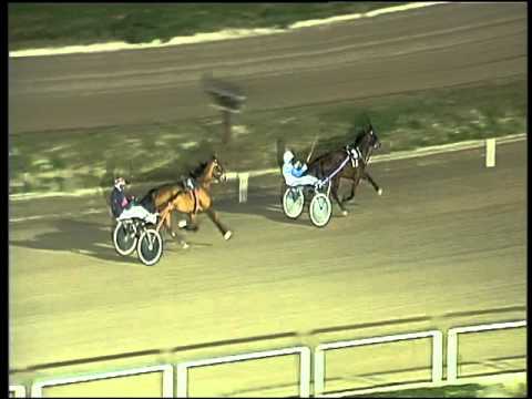 Trotto 05/02/2016 - prova di qualifica