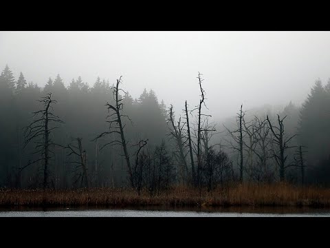 ŠEJTAN NE POZNAJE GRANICE || prof. Muhamed Ikanović