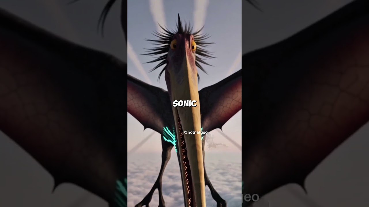 Quetzalcoatlus in Modern Airspace