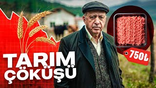Türkiye'de Tarım NASIL ÇÖKTÜ?