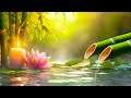 Soothing Relaxation - Relaxing Piano Music, Sleep Music and Water Sounds, Relaxing Music, Meditation