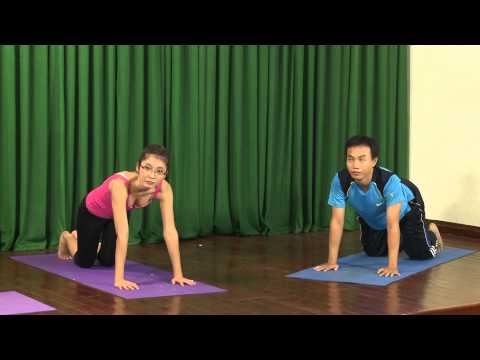 Chuỗi Yoga Chào Mặt Trăng (Moon Series) là gì? - Trung Tâm Yoga Tại Nhà