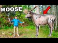 I Bought A Life Size Moose Target