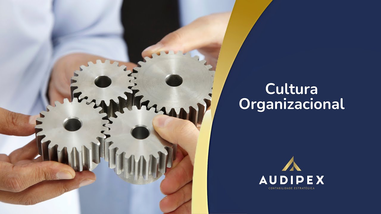 Cultura Organizacional - O que é e por que isso importa?
