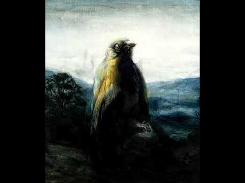 10 pianists in comparison - Schumann - Vogel als Prophet (1931-1976)