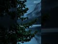 Peaceful Mornings in the Forest Relaxing Nature Sounds & Scenic Beauty | 4K Nature Video
