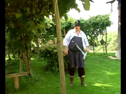 Ansambel Štrk - Jurka, šmarnica, klinton