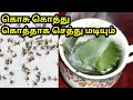 How To Get Rid Of Mosquitoes Naturally In Tamil