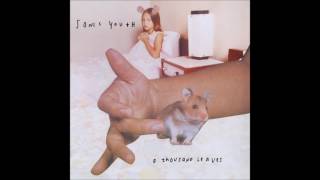 Sonic Youth - A Thousand Leaves (1998) [Full Album]