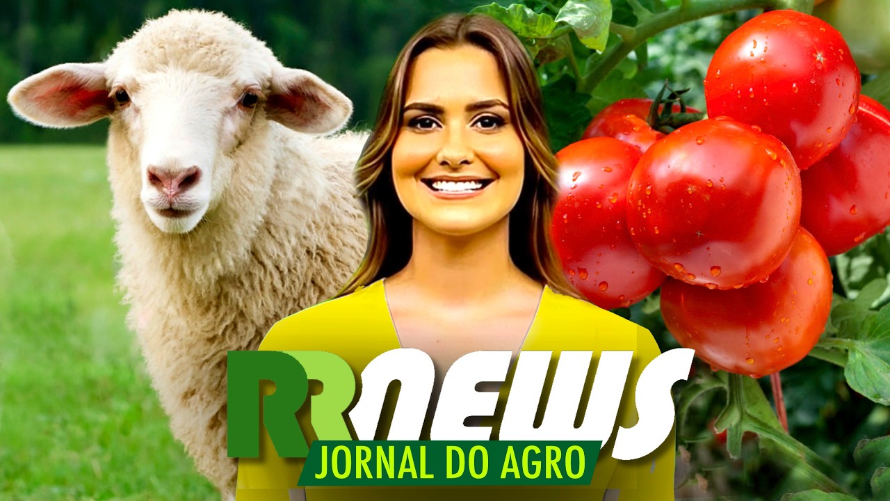 RRNEWS - O Jornal do Agro - 12/09/2026