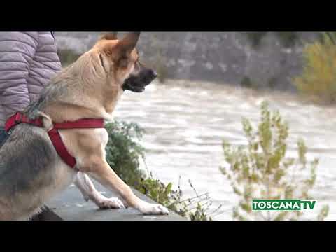 2019-12-20 PRATO - TEMPORALI E RAFFICHE DI VENTO, ALLERTA MALTEMPO