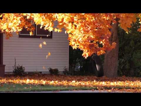 Eminstein vers jesen 2011