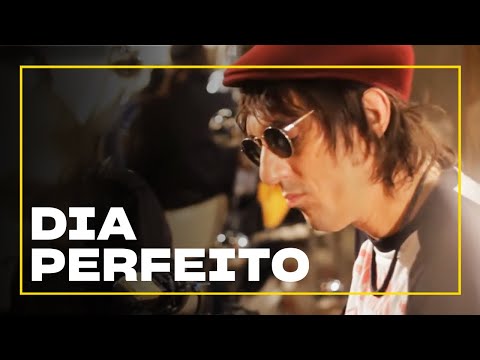 Dia Perfeito - Cachorro Grande | Zoombido